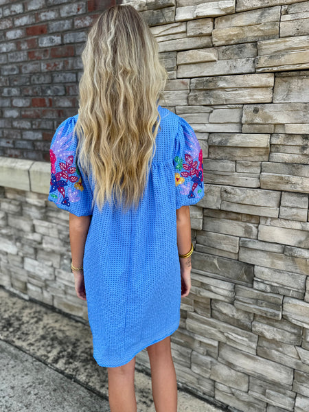 Floral Embroidered Bubble Sleeve Seersucker Mini Dress
