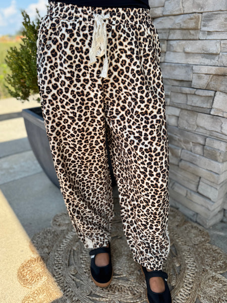 Wild Muse Leopard Print Lace Trim Pants