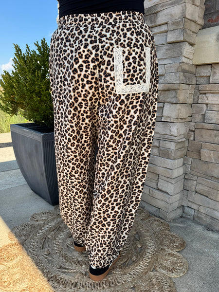 Wild Muse Leopard Print Lace Trim Pants