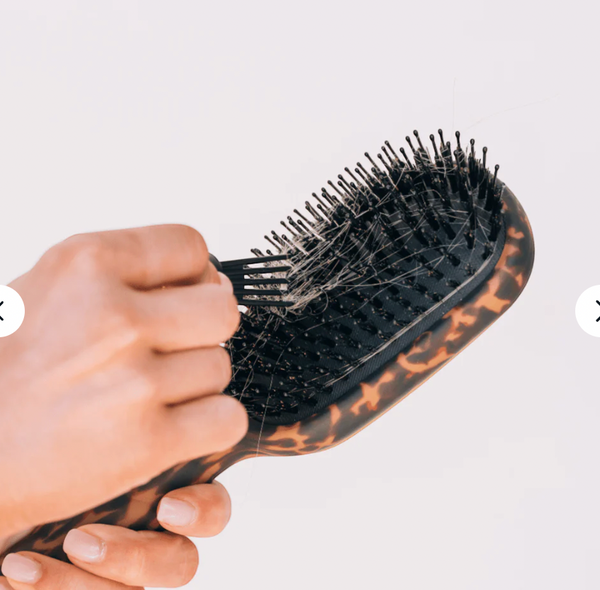 Teleties Boar Hairbrush Leopard Full Size
